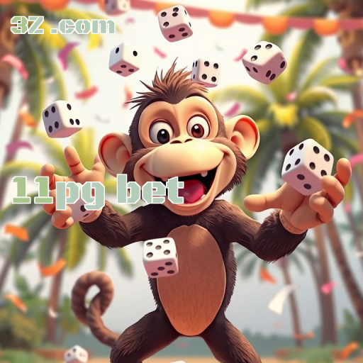 Incríveis Recursos da Seção Paga em 11pg Bet