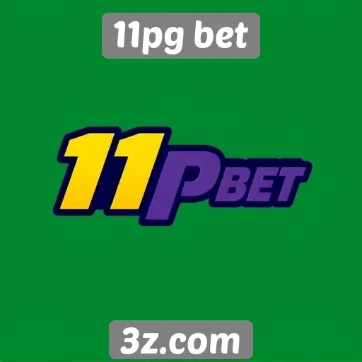 Opções de pagamento disponíveis no 11pg bet